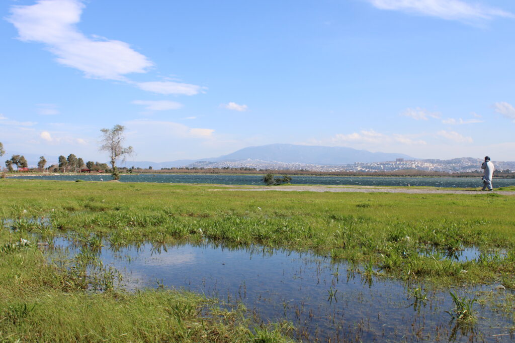 Ana Sayfa Arka Planı